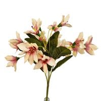 Bukiet lilia beżowy