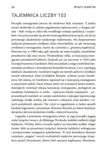 Enneagram. Dziewięć Typów Osobowości na Arena.pl