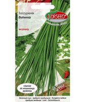 Nasiona Szczypiorek Bohemia 1g