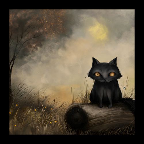 Plakat 20x20cm Czarny Kot na Arena.pl