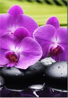 100 70CM OBRAZ PŁÓTNO KAMIENIE STORCZYKI PŁÓTNO RAMA