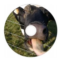 Nadruk na płycie Maxell DVD-R 4,7G 16x 035