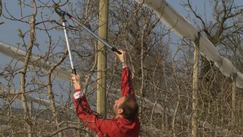 sekator do gałęzi 800mm Bahco P280-SL-80 na Arena.pl