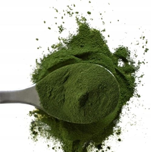 BIO Chlorella Green Ways w proszku 350g + łyżeczka + shaker - Oczyszczanie na Arena.pl