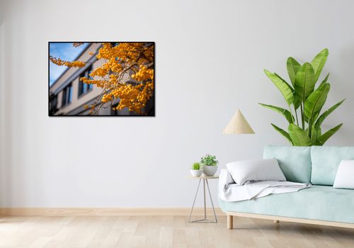 Plakat 100x70cm Złote Jagody na Arena.pl