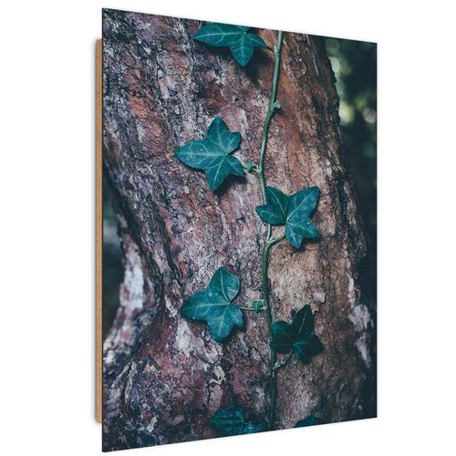 Deco Panel, Bluszcz na pniu 60x80 na Arena.pl