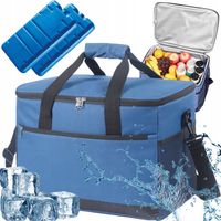 TORBA TERMICZNA NA PIKNIK LUNCH PLAŻĘ IZOLACYJNA 16L + 2 WKŁADY CHŁODZĄCE