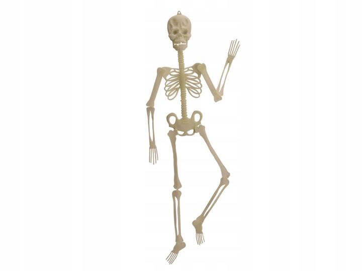 Fluorescencyjny szkielet Halloween 150 cm zdjęcie 1