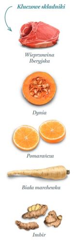 Amanova Dog Adult Mini Exigent Iberian Pork - Wieprzowina 2Kg na Arena.pl