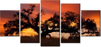 70CM 150CM OBRAZ 5 ELEM DĄB ZACHODZĄCYM SŁOŃCU DON MCCULLOUGH ŚCIENNY