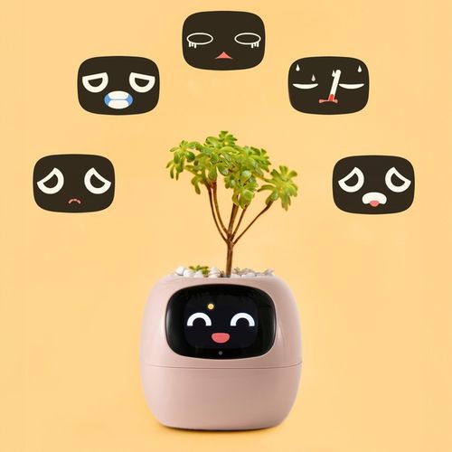 Inteligentna doniczka IVY SMART PLANTER osłonka na donicę PLANTSIO RÓŻOWA na Arena.pl