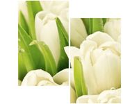 60X60CM DELIKATNE TULIPANY DWU OBRAZ ŚCIAN