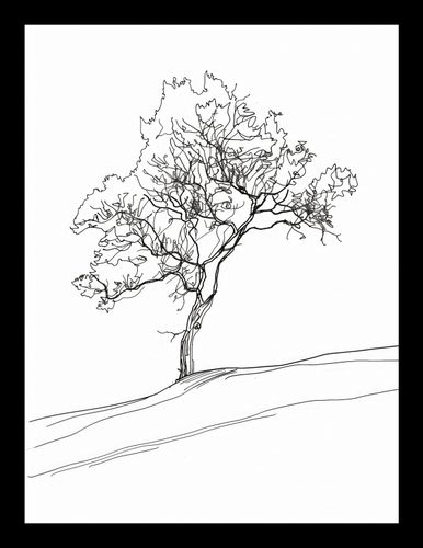 Plakat 15x20cm Drzewo w Zarysie na Arena.pl