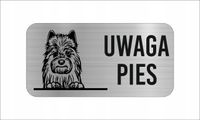 GRAWER Tabliczka nierdzewna laminat 20x10 UWAGA PIES Terier australijski