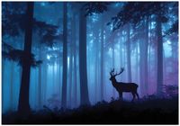 Fototapeta Na Flizelinie Do Sypialni Salonu Las 400x280