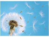 50X70CM ZDMUCHNIĘTE OBRAZ POKOJU DREWNINE