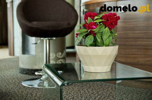 DONICZKA DELTA 220 A1 na Arena.pl