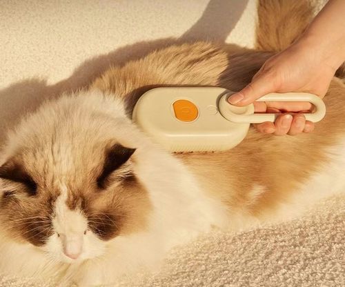 SZCZOTKA PAROWA DLA PSA KOTA ZWIERZĄT DOZOWNIK SIERŚĆ UCHWYT ELEKTRYCZNA na Arena.pl