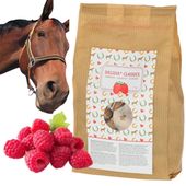 Smakołyki dla konia Delizia Classic, malina, cukierki smaczki 1 kg, Kerbl