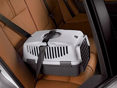 TRANSPORTER GULLIVER 3 DLA PSA KOT KRÓLIK 61X40X38 DUŻY i SOLIDNY na Arena.pl