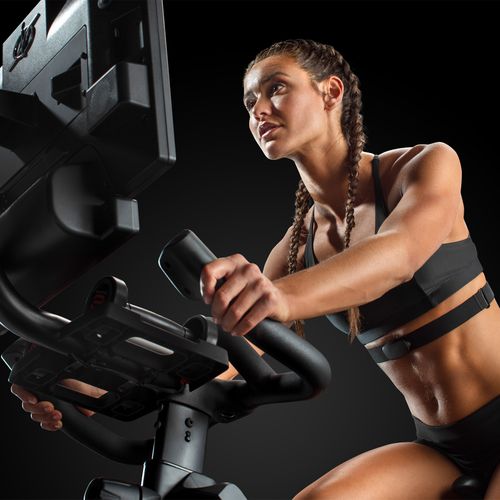 NORDICTRACK ROWER SPININGOWY S22i na Arena.pl