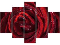 105CM 150CM OBRAZ 5 ELEM BORDOWA RÓŻA DRUK