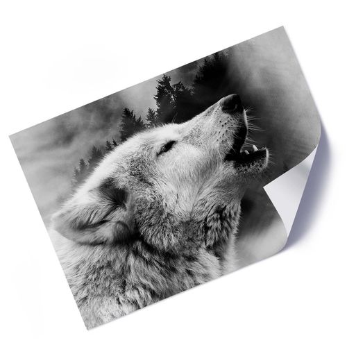 Plakat, Wilk we mgle 60x40 na Arena.pl