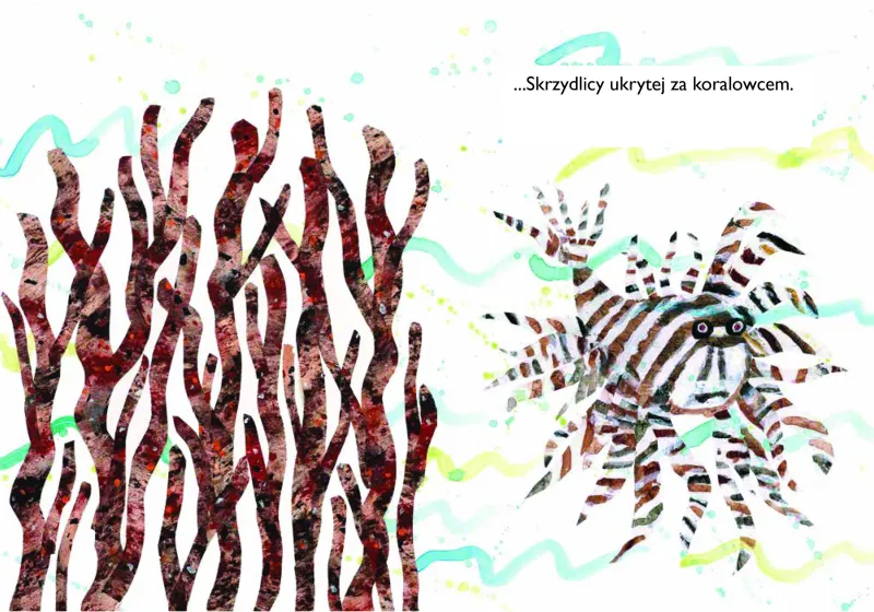 Konik morski zdjęcie 2