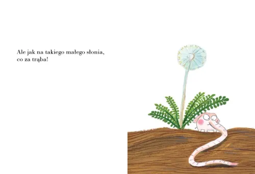 Pomelo ma się dobrze pod swoim dmuchawcem na Arena.pl