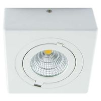 Oczko LAMPA natynkowa IGOR LED 9W 4000K 03128 Ideus metalowa OPRAWA sufitowa REFLEKTOREK regulowany biały