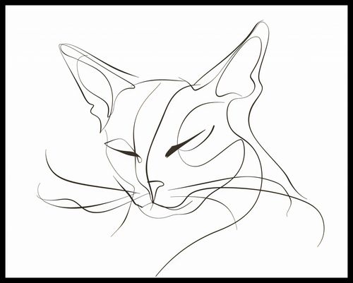 Plakat 76x60,5cm Linijny Kot na Arena.pl