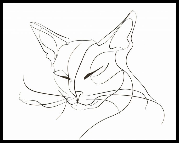 Plakat 76x60,5cm Linijny Kot zdjęcie 2