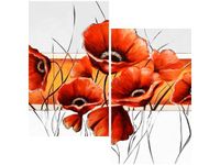 60X60CM MAKI BIAŁYM DWU OBRAZ ŚCIAN