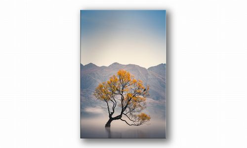 OBRAZ NA PŁÓTNIE 022 Drzewo we mgle 30x40cm na Arena.pl