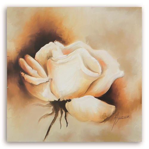 Deco Panel, Beżowa róża 69x69 na Arena.pl