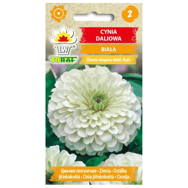 Cynia daliowa BIAŁA 1g zdjęcie 1