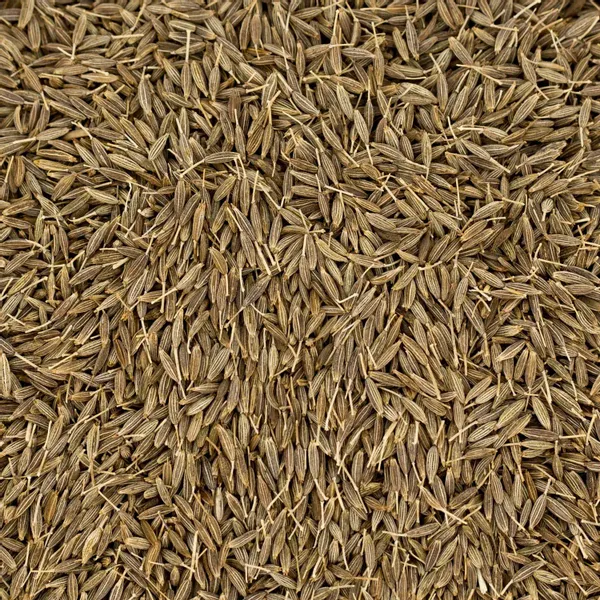 Kmin rzymski ziarno 100g zdjęcie 3