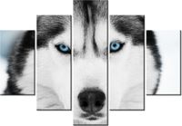 105CM 150CM OBRAZ 5 ELEM HUSKY SYBERYJSKI DRUK