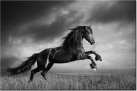 product-compare-58694784