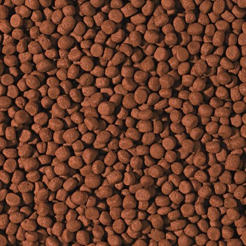 Tropical Pokarm dla ryb średnich i dużych mięsożernych pielęgnic 5L na Arena.pl