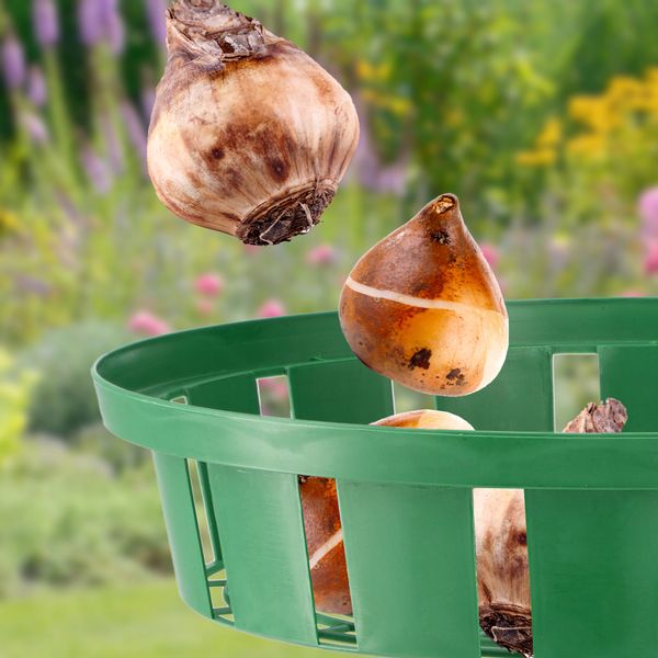 KADAX Koszyk Osłonka Do Sadzenia Cebulek fi 22cm zdjęcie 8