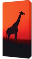 Obraz 30x60cm Żyrafa w Czerni