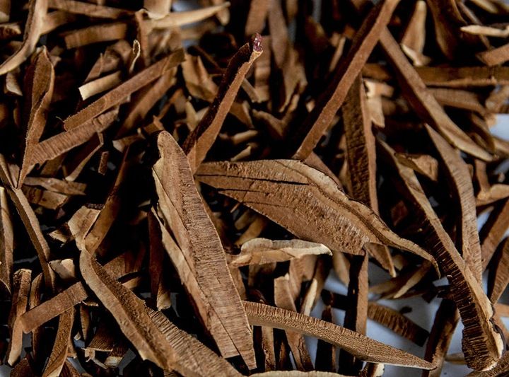 Grzyb REISHI susz 100g zdjęcie 4