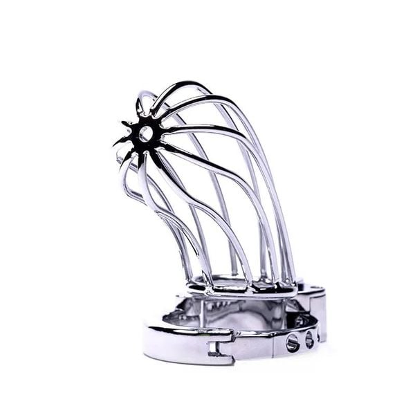 Stainless Steel Penis Cage 2 With Advanced Locking Mechanism zdjęcie 3