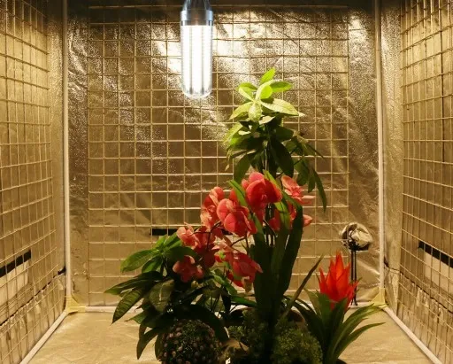 ŻARÓWKA DO ROŚLIN LED GROW CORN FULL SPECTRUM 50W zdjęcie 8