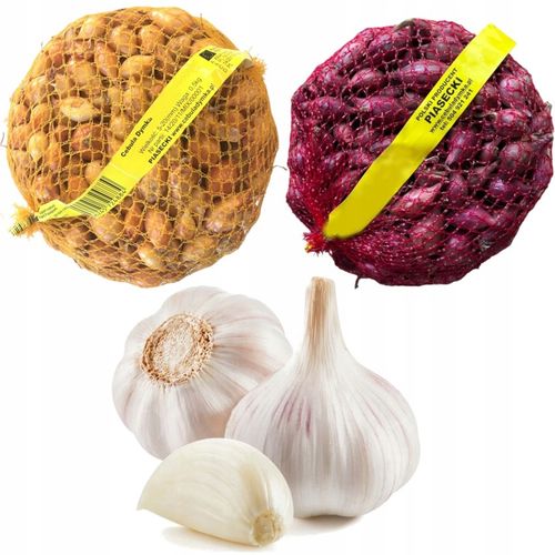 ZIMOWY ZESTAW DO SADZENIA 2x Dymka + Czosnek Harnaś 500g na Arena.pl