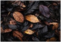 Fototapeta Na Flizelinie Do Sypialni Salonu Liście 300x210