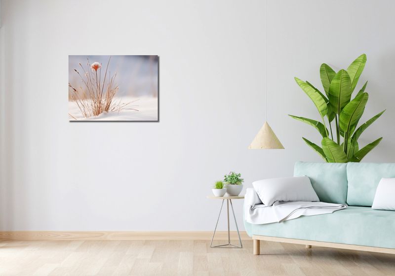 Obraz 70x50cm Zima w Detalach zdjęcie 2