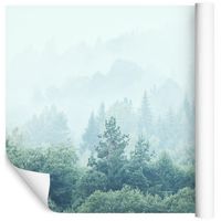 Fototapeta 3D Las we Mgle NATURA do Sypialni 405x270