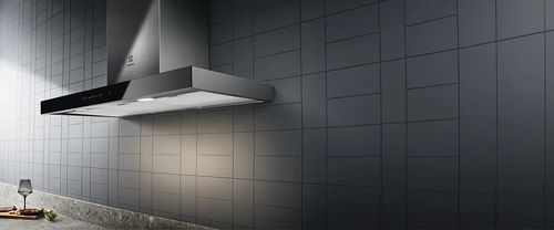 Filtr węglowy ELECTROLUX ECFB02ST na Arena.pl